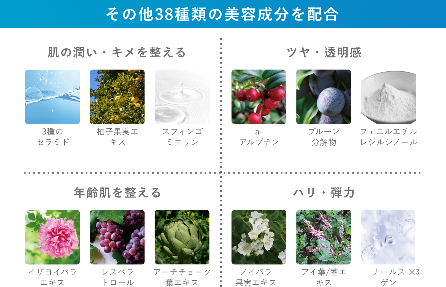 セルディナ【公式ブランドサイト】