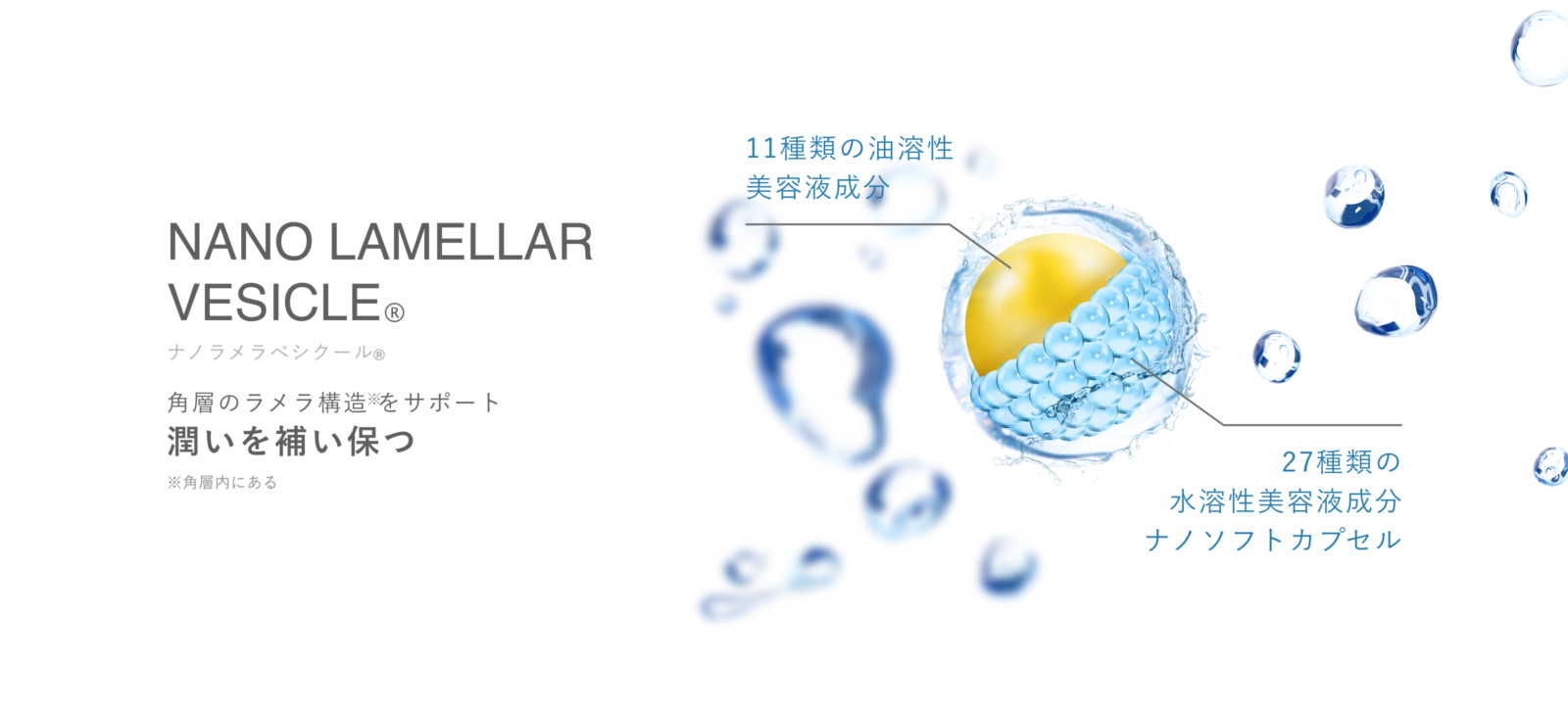 セルディナ【公式ブランドサイト】