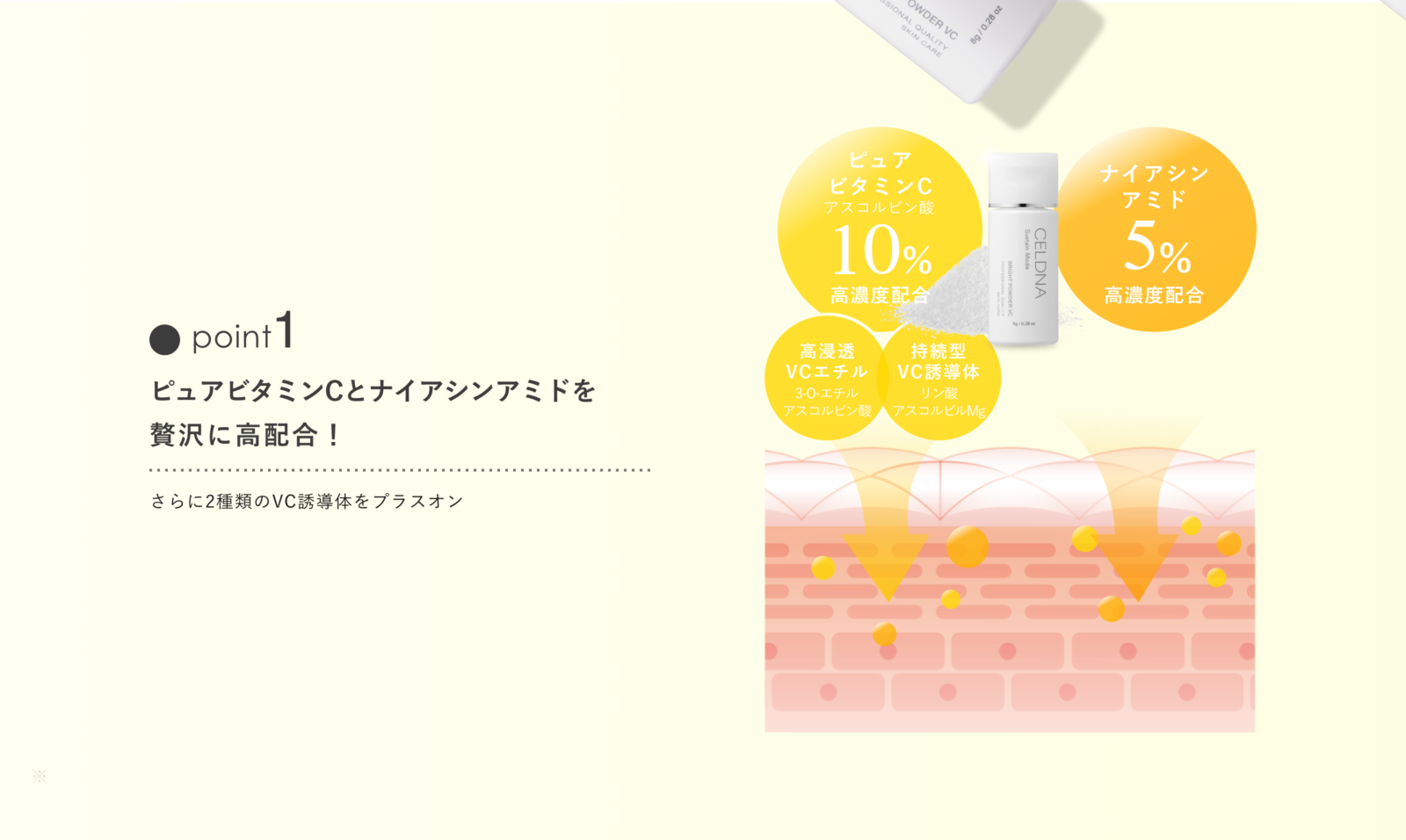 セルディナ【公式ブランドサイト】